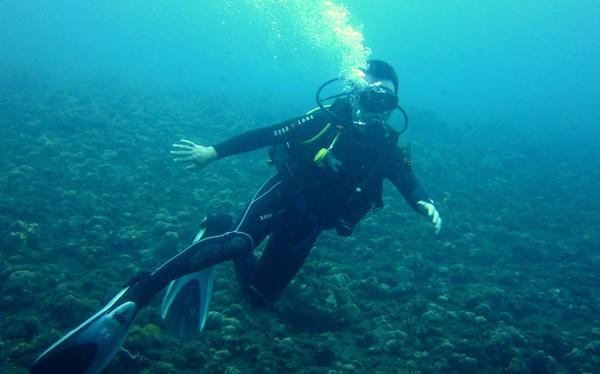 海绵宝宝寻珍宝